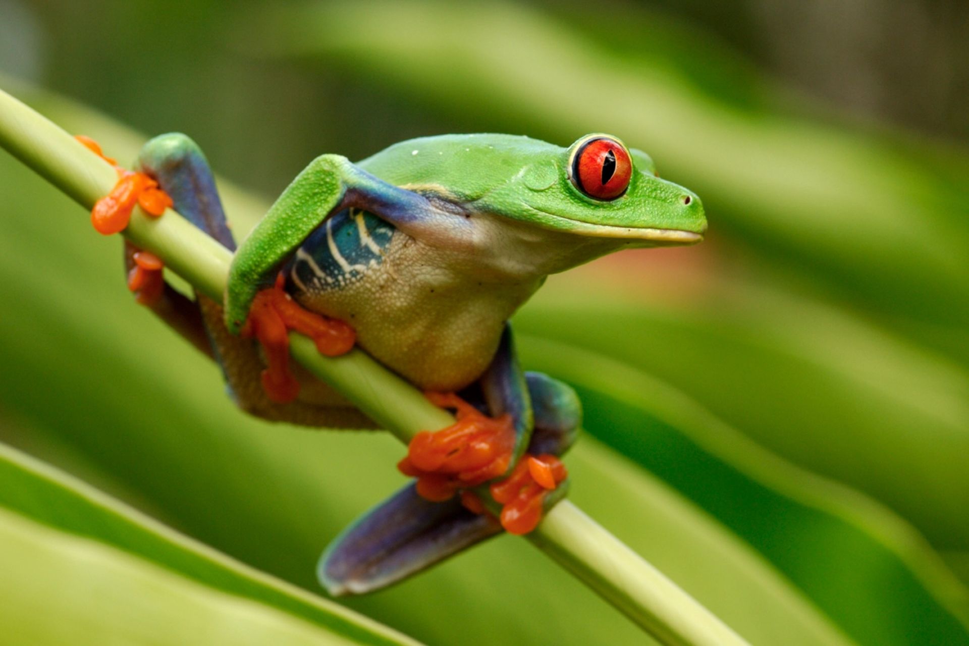 Ecole Travel Tours Costa Rica 