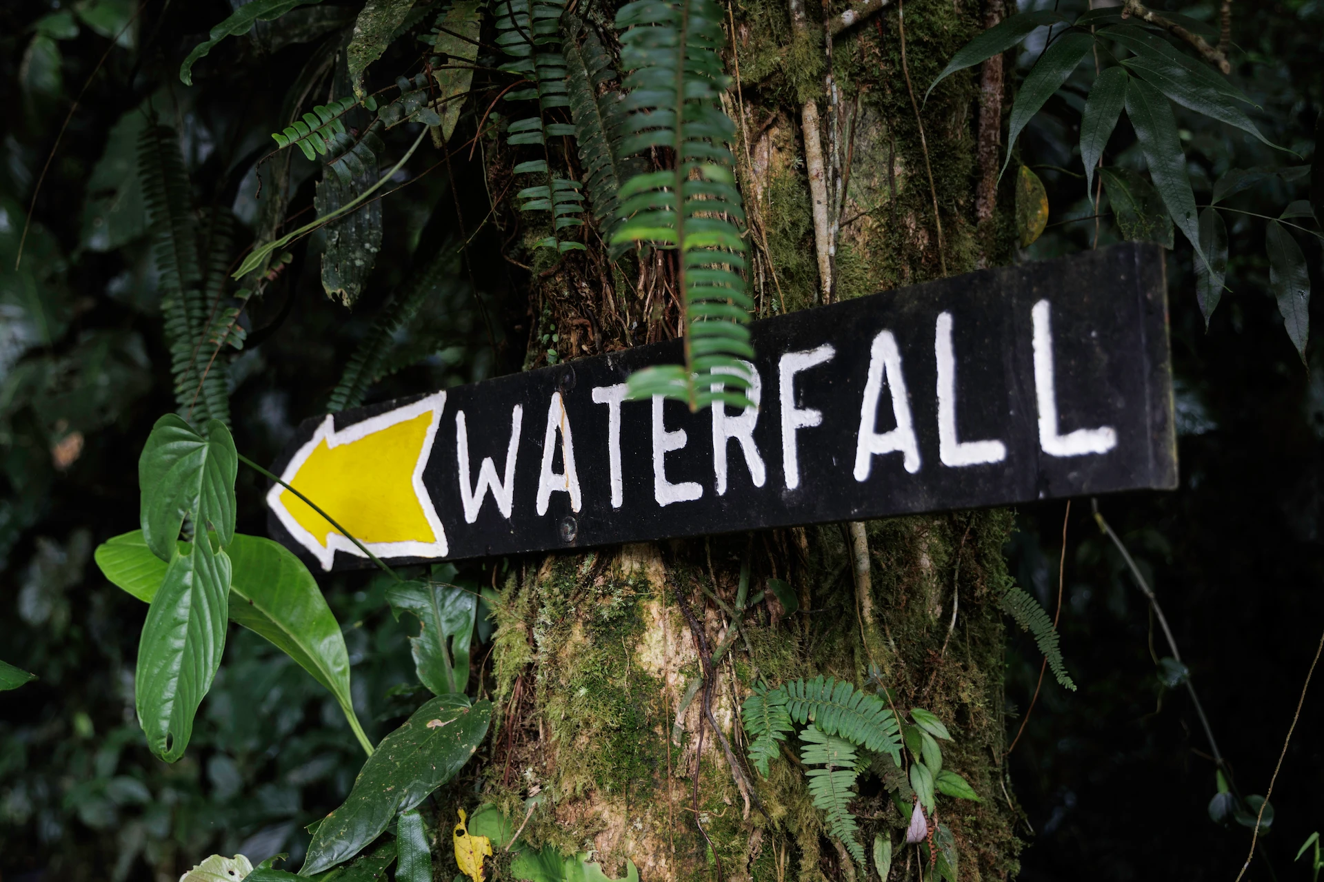 Ecole Travel Tours Costa Rica 