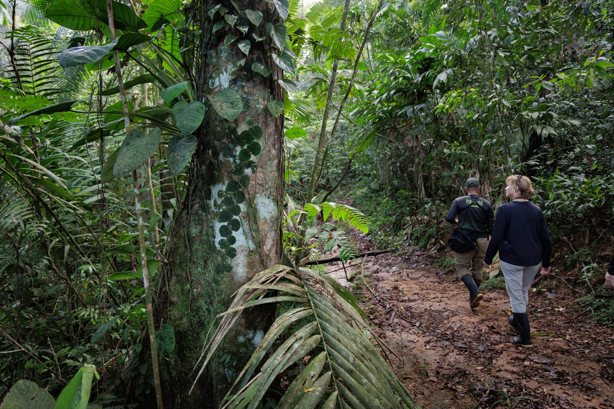 Ecole Travel - General Information About Costa Rica
