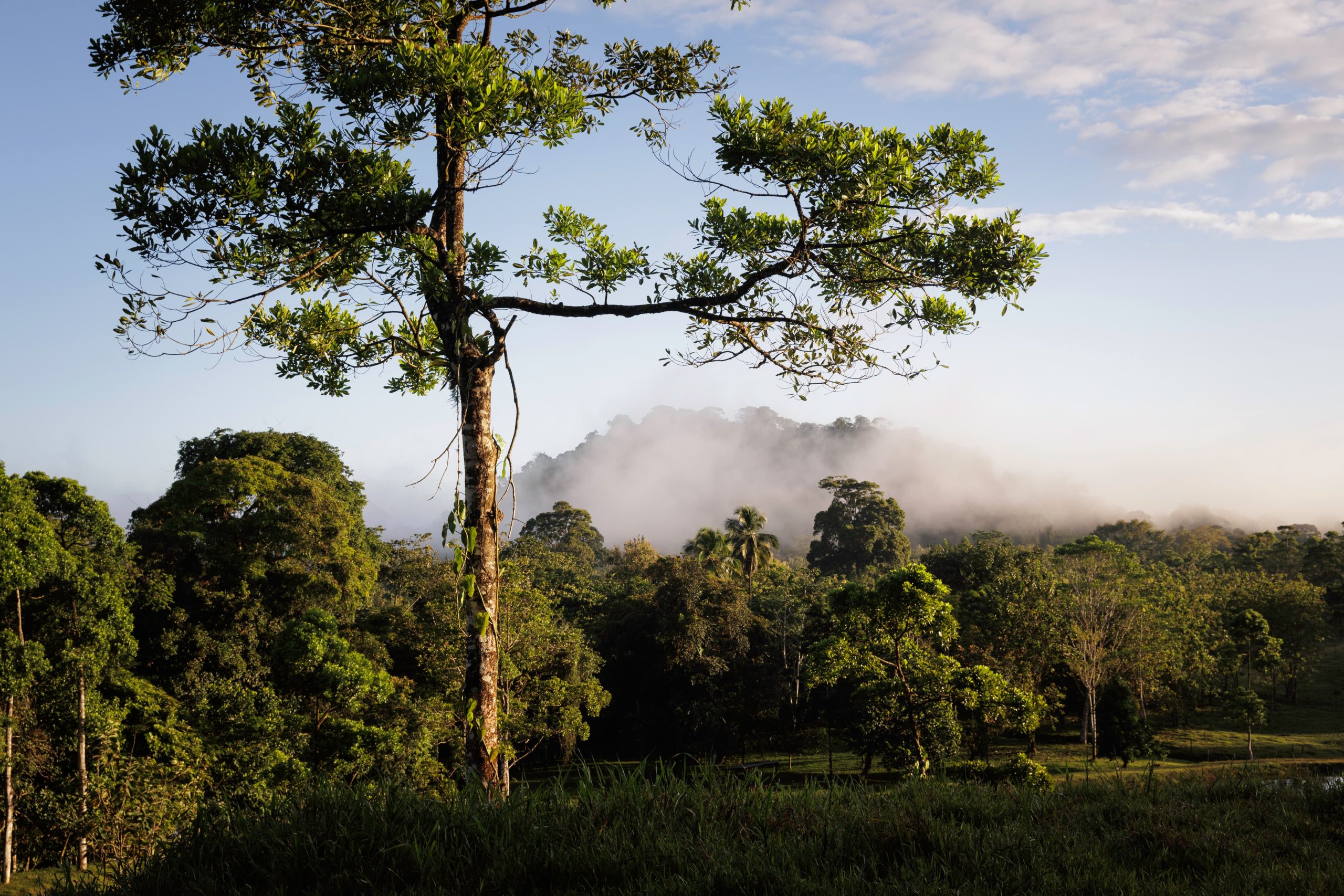 Ecole Travel - General Information About Costa Rica